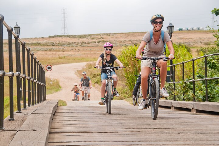Family-friendly Winelands tours
